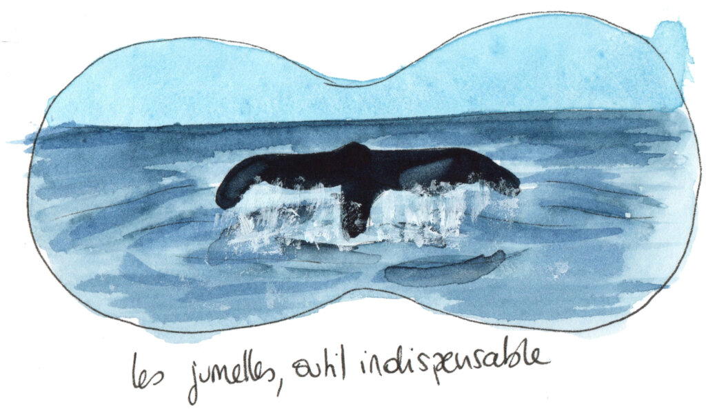 Les baleines vues avec les jumelles. Lucie Lantrua aquarelle.