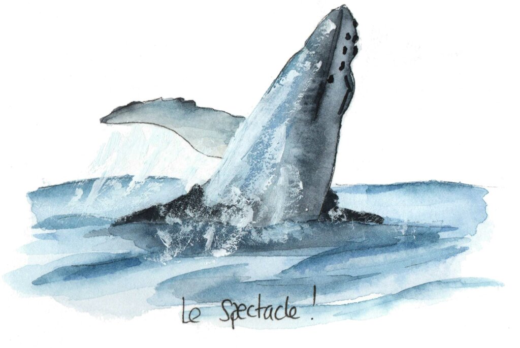 Le spectacle, majestueuse baleine. Lucie Lantrua aquarelle.